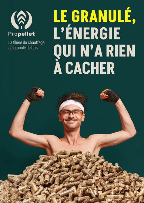 Brûleurs à pellets GP IV-ème génération