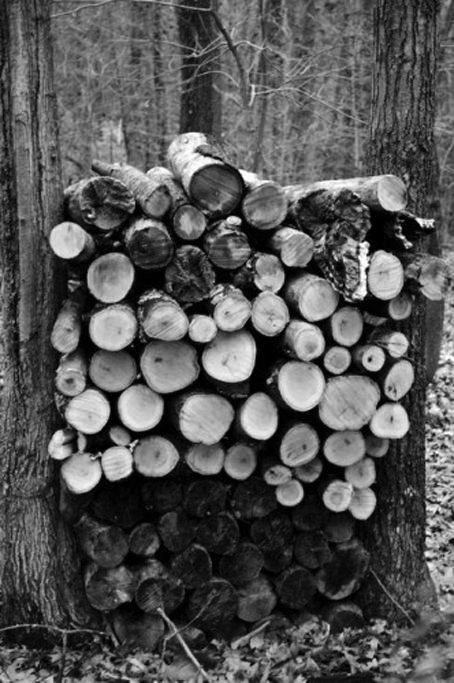 Stacks Image 83